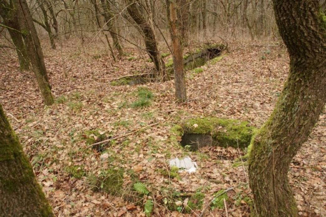 Blick auf ein Waldstück. Auf dem Boden sieht man Fundamentreste.. Sie sind mit Moos bewachsen. Rundherum stehen Bäume.